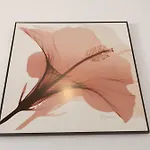 Casa Paula - 25 *